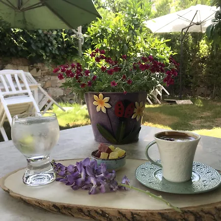 King Aegeus Hotel Ayvalı