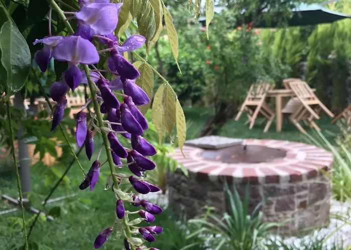 King Aegeus ホテル