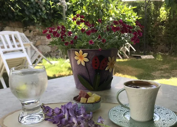 King Aegeus ホテル Ayvalı