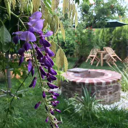 King Aegeus Ξενοδοχείο